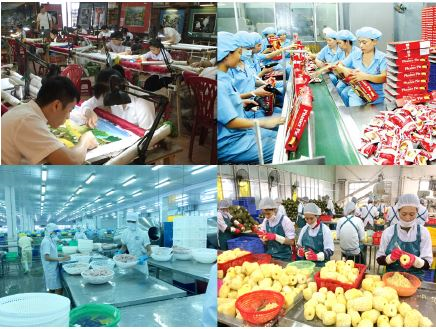                                     Khu vực kinh tế tư nhân trong nền kinh tế thị trường Việt Nam