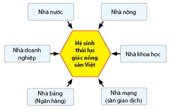 Phát huy tính bổ sung các lợi thế để tối đa hóa lợi ích thương mại nông sản xuất khẩu Việt Nam trong giai đoạn mới
