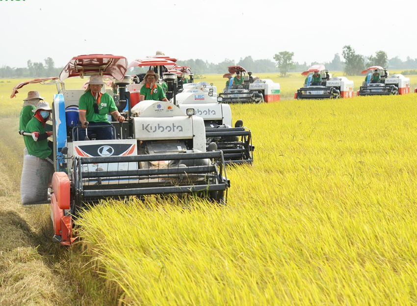 Tín dụng Agribank chi nhánh An Giang hỗ trợ chuyển đổi kinh tế nông nghiệp