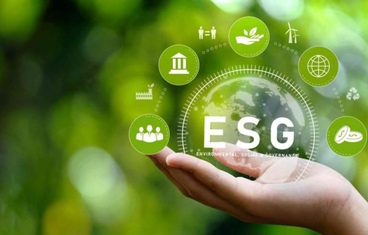 Thực thi ESG tại BIDV: Thuận lợi, khó khăn và một số đề xuất, kiến nghị