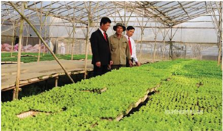 Chính sách đầu tư của Agribank trong phát triển nông nghiệp công nghệ cao
