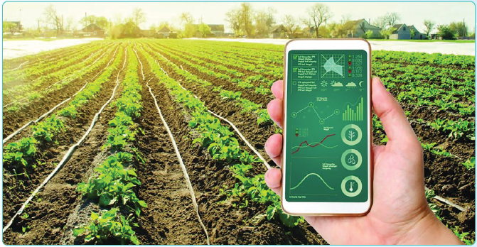 Agri-Fintech: Giải pháp cho việc nâng cao hiệu quả tài trợ tài chính trong lĩnh vực nông nghiệp của kỉ nguyên số