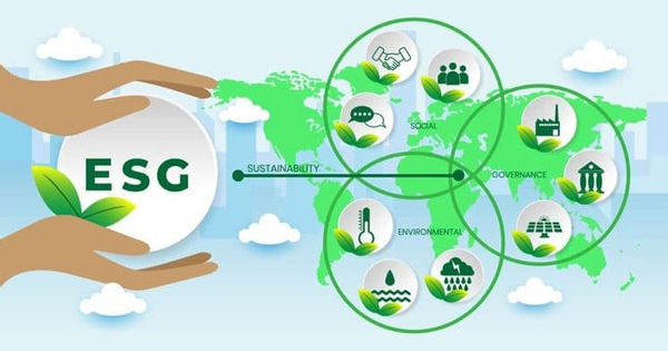 Vai trò, tầm quan trọng của ESG trong phát triển bền vững tại ngân hàng thương mại Việt Nam
