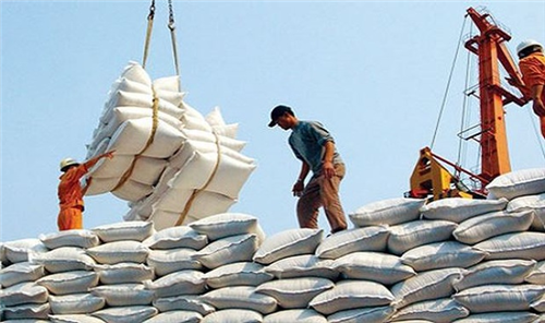                                     Ngành Ngân hàng góp phần tháo gỡ nút thắt vận hành chuỗi thu mua lúa gạo  khu vực đồng bằng sông Cửu Long