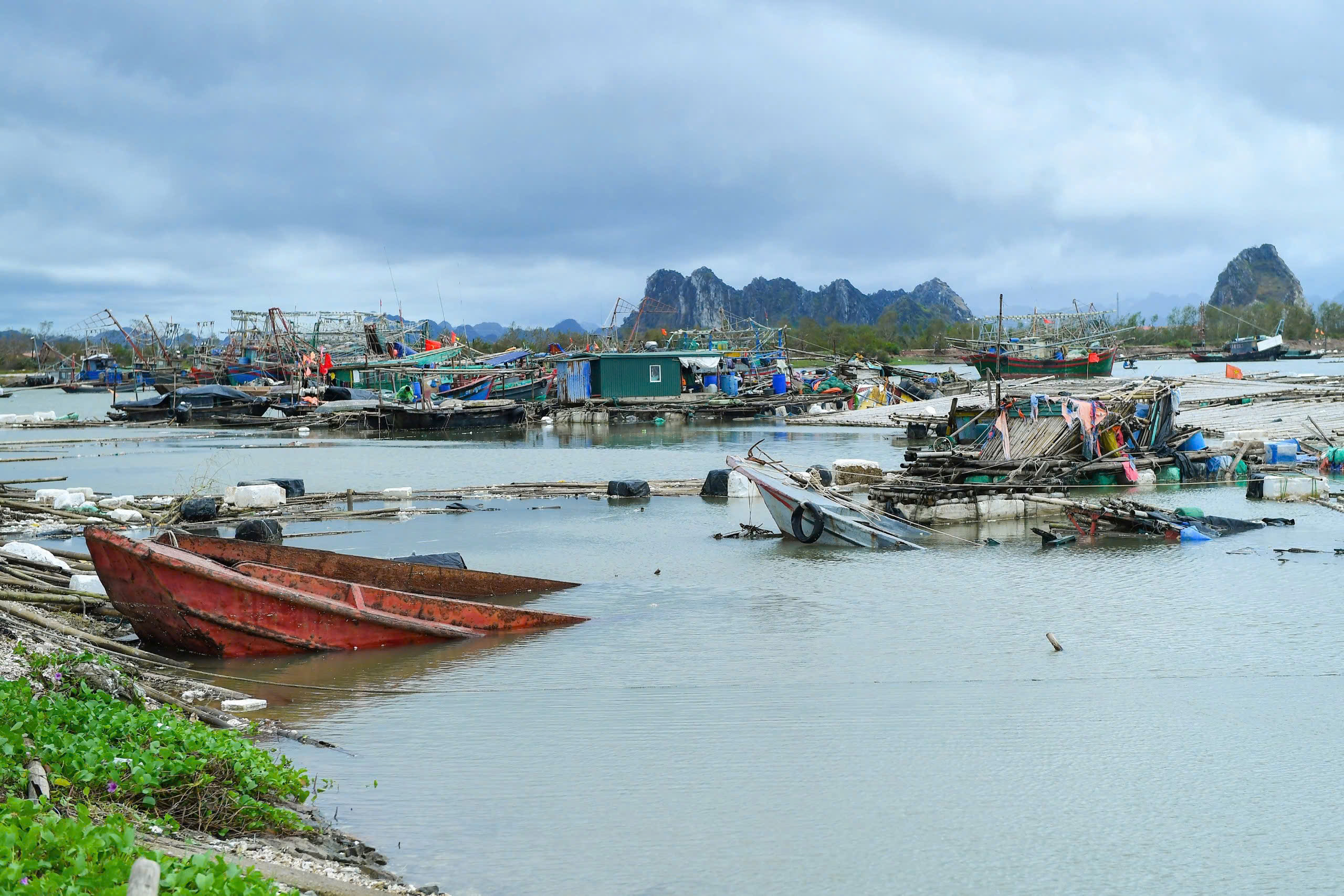 Bảo hiểm nông nghiệp: Lá chắn tài chính trước rủi ro thiên tai