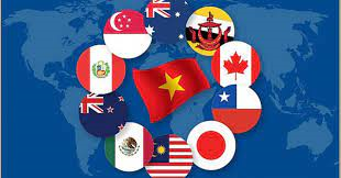 Hoạt động kinh doanh quốc tế tại Việt Nam: Thực trạng và một số kiến nghị nâng cao hiệu quả