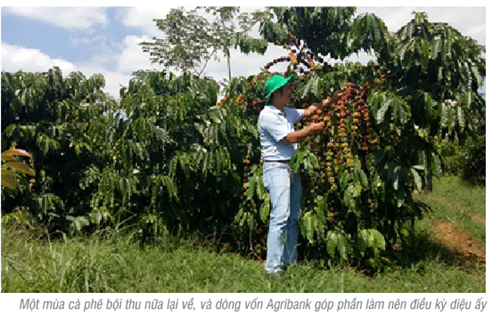                                     Agribank - điểm tựa cho sự phát triển  của nền nông nghiệp nước nhà