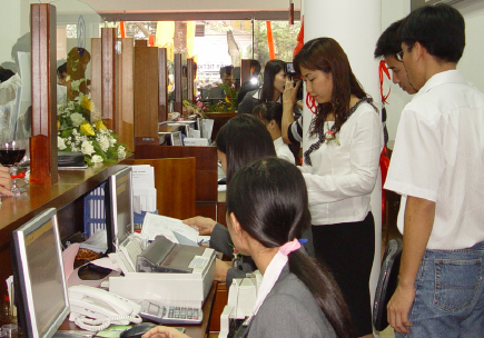                                     Tác động của cấu trúc sở hữu đến khả năng sinh lời của các ngân hàng thương mại Việt Nam
