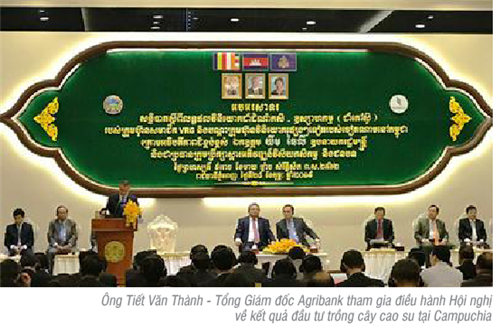                                     Tổng Giám đốc Agribank tham gia Hội nghị  về kết quả đầu tư trồng cây cao su tại Campuchia  và làm việc với Thống đốc Ngân hàng Quốc gia Campuchia