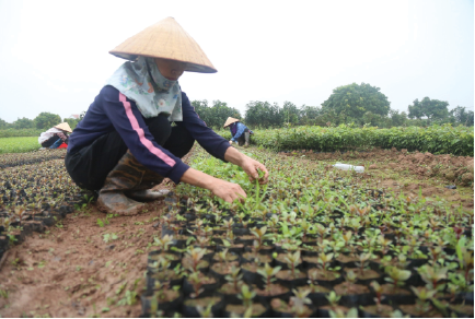 Ngân hàng Chính sách xã hội tỉnh Hưng Yên: Phát huy vai trò trụ cột giảm nghèo và đảm bảo an sinh xã hội ở địa phương