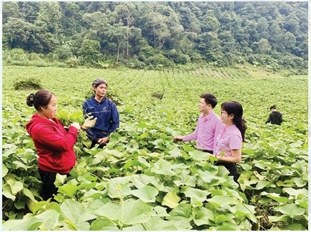 Tín dụng chính sách xã hội: Để không ai bị bỏ lại phía sau trong kỷ nguyên vươn mình của đất nước