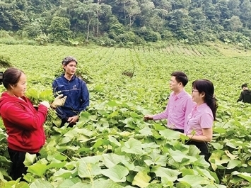 Tín dụng chính sách xã hội: Để không ai bị bỏ lại phía sau trong kỷ nguyên vươn mình của đất nước