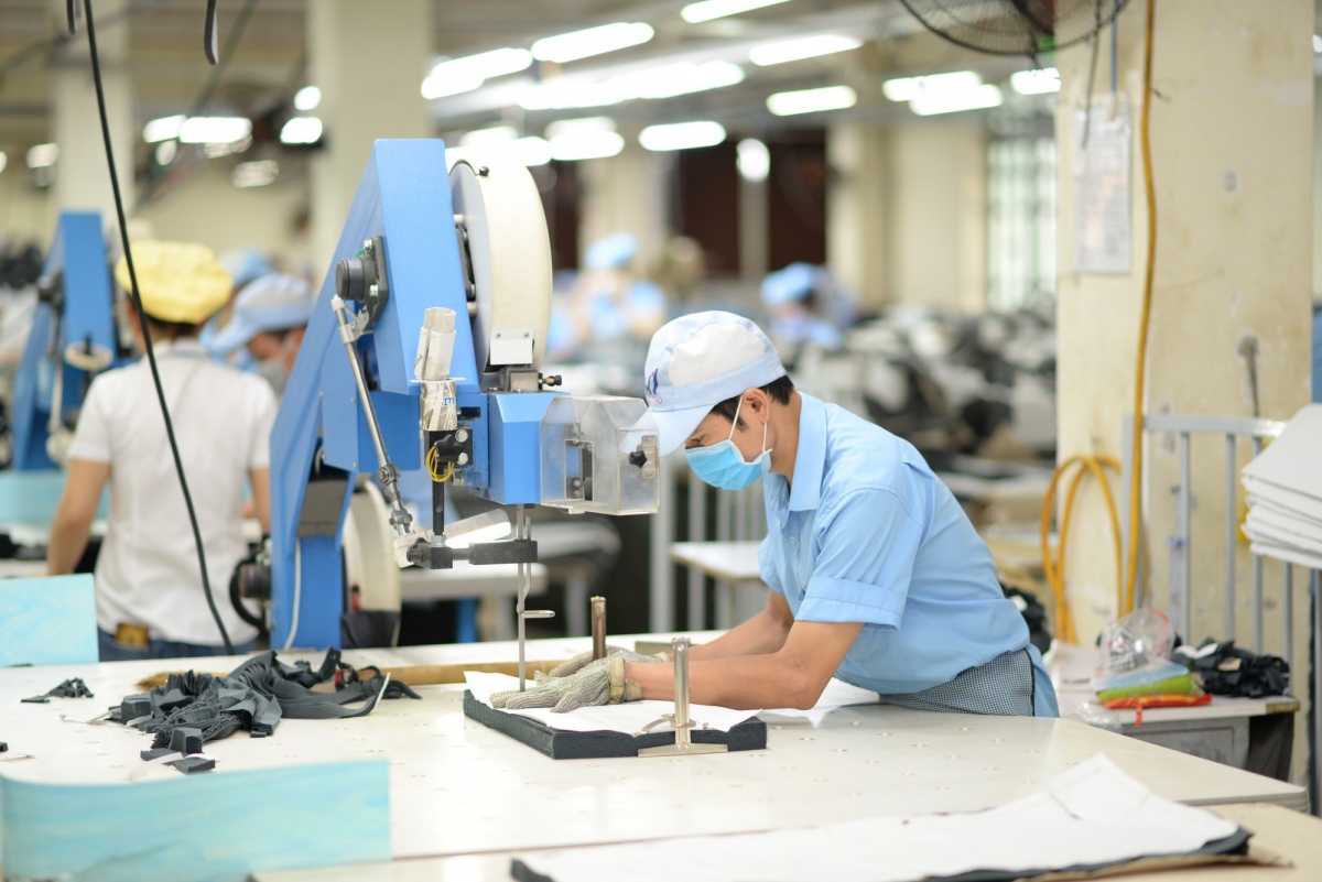 Doanh nghiệp Việt Nam cần có chiến lược linh hoạt, kịp thời để đối phó với thách thức và tận dụng cơ hội từ thị trường nội địa, quốc tế