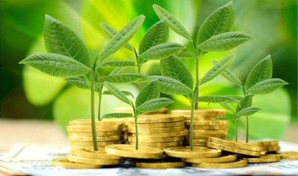 Chiến lược của các nhà đầu tư toàn cầu: Con đường gập ghềnh đến “xanh hóa”