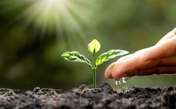 Tư tưởng Hồ Chí Minh về bảo vệ môi trường và ý nghĩa trong phát triển bền vững giai đoạn hiện nay