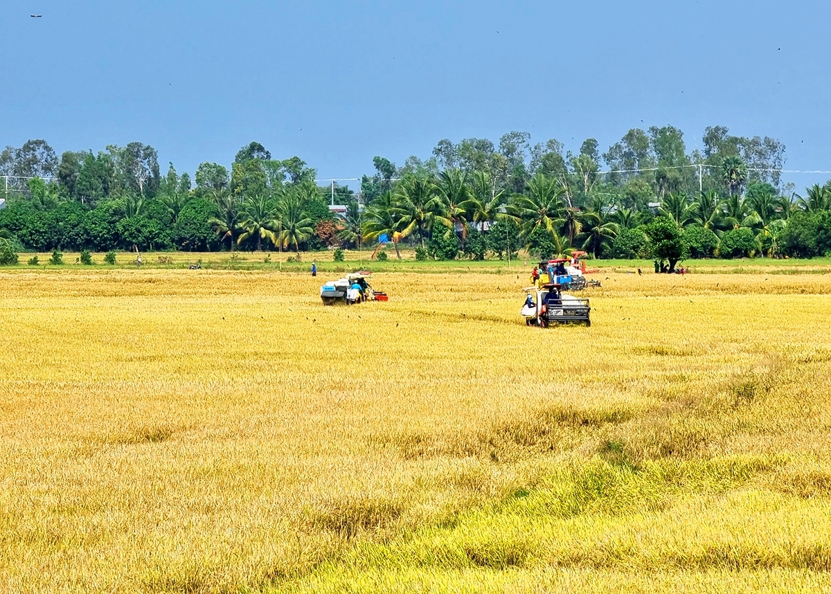 Hoạt động của hệ thống ngân hàng Khu vực 15 góp phần phát triển kinh tế địa phương