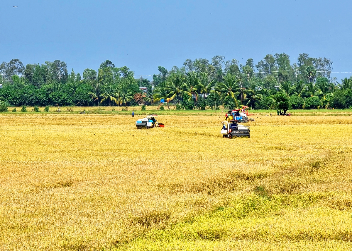 Hoạt động của hệ thống ngân hàng Khu vực 15 góp phần phát triển kinh tế địa phương
