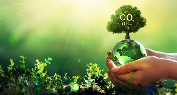 Khuôn khổ pháp lý liên quan đến việc sử dụng tài sản số, tín chỉ carbon làm tài sản bảo đảm ngân hàng tại Việt Nam