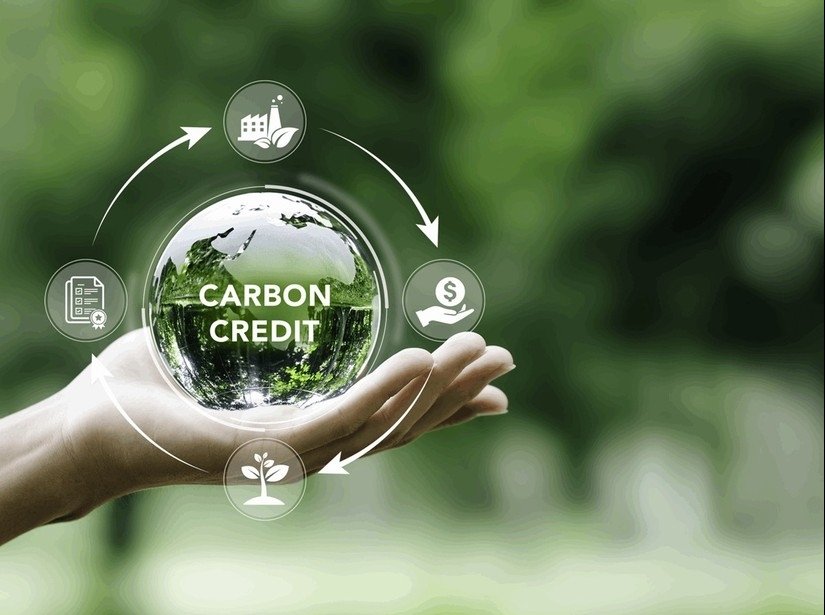 Sử dụng tín chỉ carbon làm tài sản bảo đảm ngân hàng và một số gợi mở về mặt pháp lý