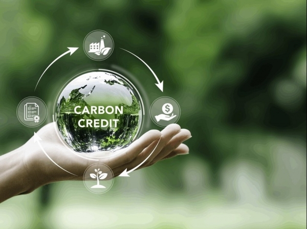 Sử dụng tín chỉ carbon làm tài sản bảo đảm ngân hàng và một số gợi mở về mặt pháp lý