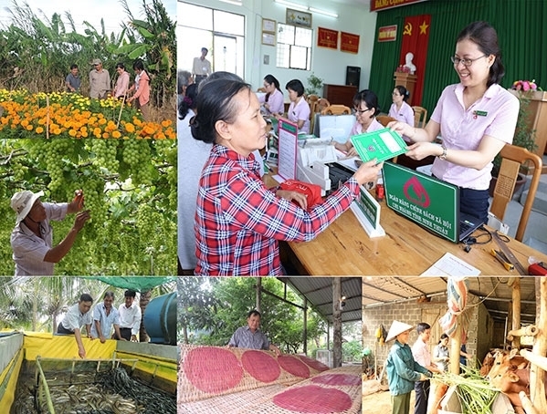Hoạt động của ngân hàng chính sách trong cơ chế thị trường: Từ pháp luật đến thực tiễn thi hành