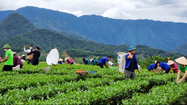 Chính sách tiền tệ, tín dụng thúc đẩy chuyển đổi xanh và bền vững cho khu vực hợp tác xã
