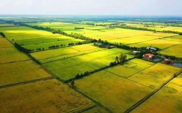 Những điểm mới của Dự thảo Luật sửa đổi, bổ sung một số điều của Luật Đất đai năm 2024 và tác động đối với ngành tài chính - ngân hàng