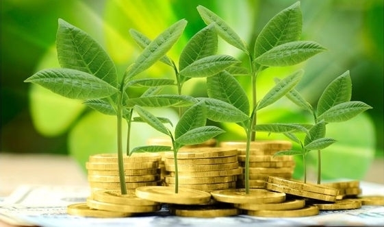 Ngân hàng xanh: Phân tích trắc lượng thư mục và xu hướng nghiên cứu tiềm năng