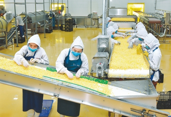 Hệ thống Ngân hàng Khu vực 14 thúc đẩy phát triển kinh tế địa phương