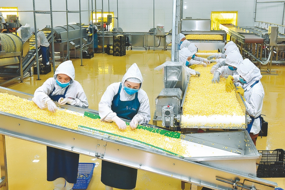 Hoạt động sản xuất trên địa bàn tiếp tục ổn định và có xu hướng tăng trưởng (Nguồn ảnh: Tác giả cung cấp)