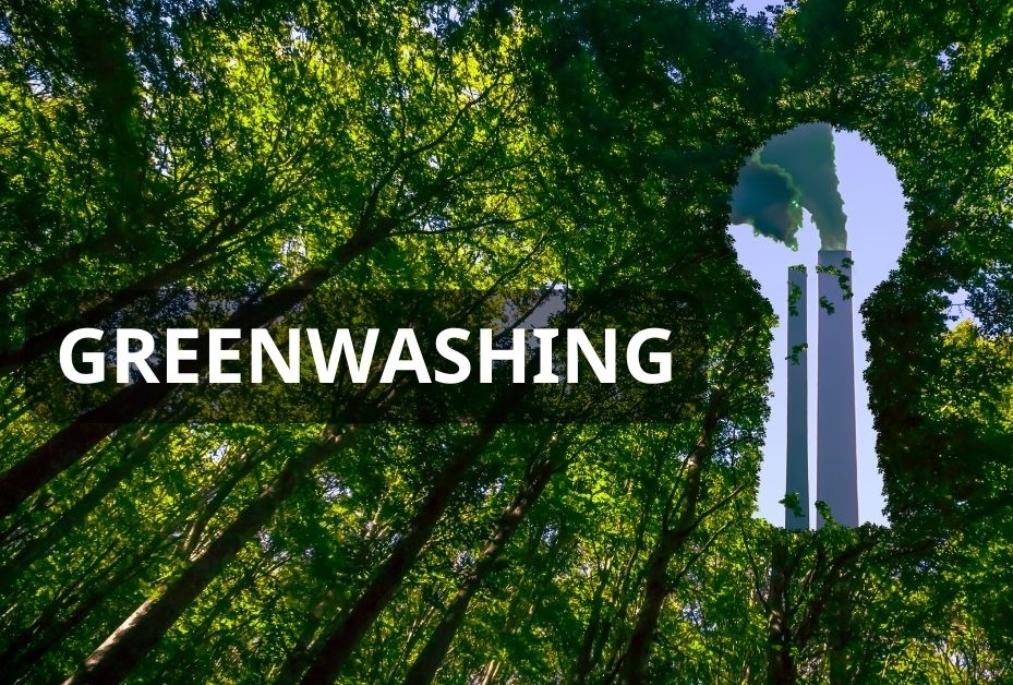 Hiện tượng tẩy xanh trong lĩnh vực tài chính - Góc nhìn từ doanh nghiệp, nhà đầu tư và nhà nước