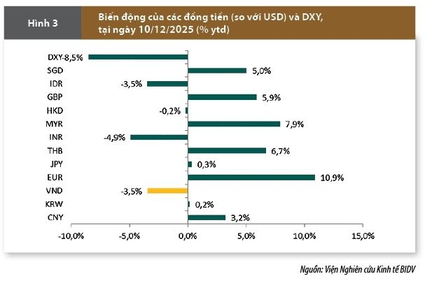 Hoạt động của hệ thống Quỹ tín dụng nhân dân: Cơ hội và triển vọng phát triển
