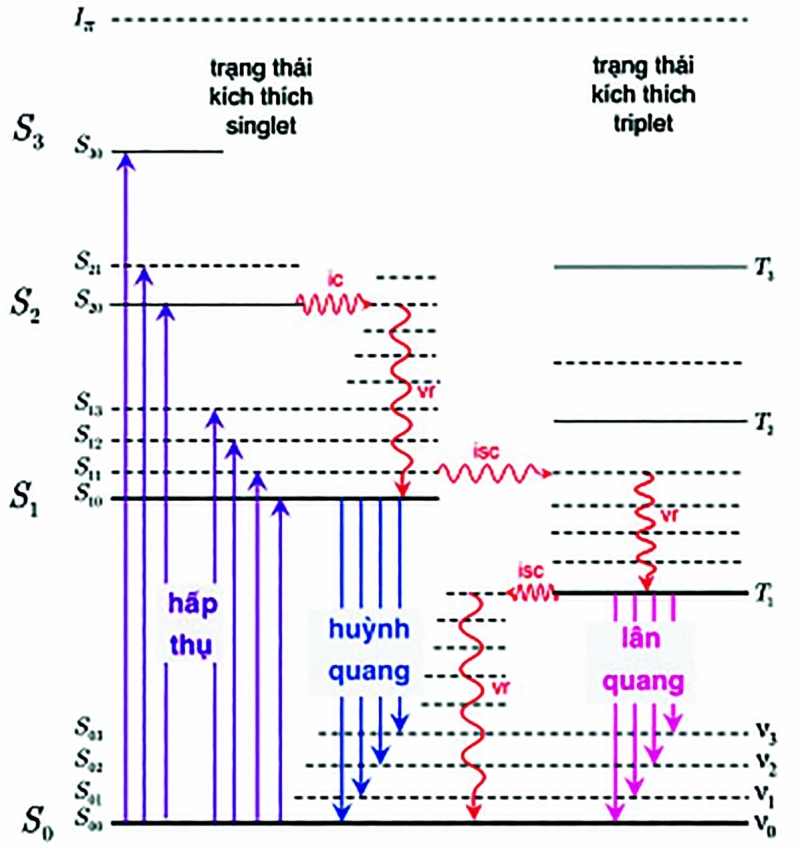 Nguồn: Nhóm tác giả