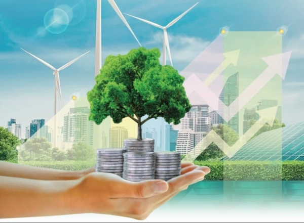 Huy động nguồn lực tư nhân cho đầu tư xanh: Thực tiễn triển khai và hàm ý chính sách