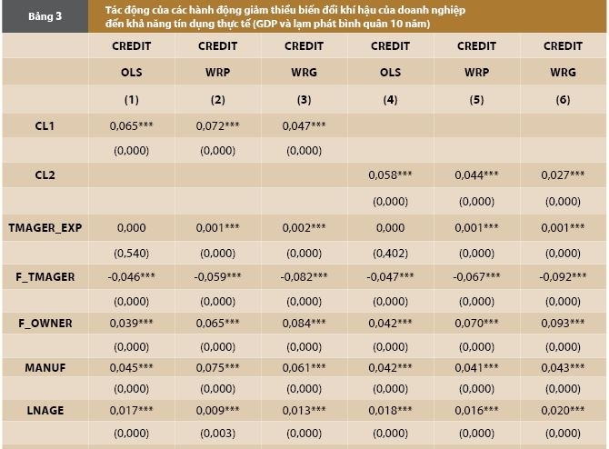 Hành động giảm thiểu biến đổi khí hậu và nghịch lý tiếp cận tài chính của doanh nghiệp: Bằng chứng quốc tế và hàm ý cho Việt Nam Hành động giảm thiểu biến đổi khí hậu và nghịch lý tiếp cận tài chính của doanh nghiệp: Bằng chứng quốc tế và hàm ý cho Việt Nam