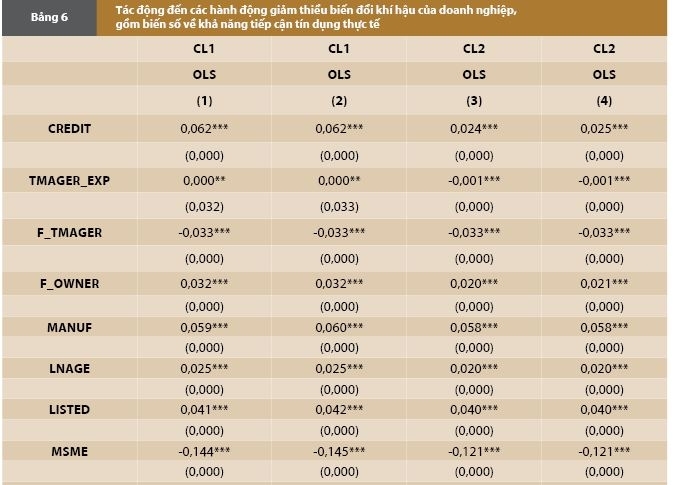 Hành động giảm thiểu biến đổi khí hậu và nghịch lý tiếp cận tài chính của doanh nghiệp: Bằng chứng quốc tế và hàm ý cho Việt Nam Hành động giảm thiểu biến đổi khí hậu và nghịch lý tiếp cận tài chính của doanh nghiệp: Bằng chứng quốc tế và hàm ý cho Việt Nam