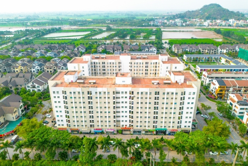 Ảnh minh họa (Nguồn: Internet)