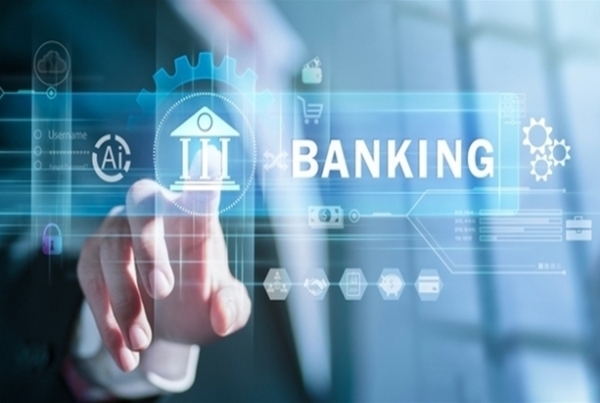 Hoạt động giám sát ngân hàng trên cơ sở rủi ro: Kinh nghiệm quốc tế và khuyến nghị cho Việt Nam