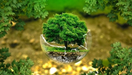 Tăng cường vai trò của ngân hàng thương mại trong ứng phó với biến đổi khí hậu tại Việt Nam
