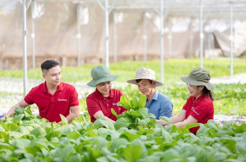 Ảnh minh họa (Nguồn: Internet) Ảnh minh họa (Nguồn: Internet)