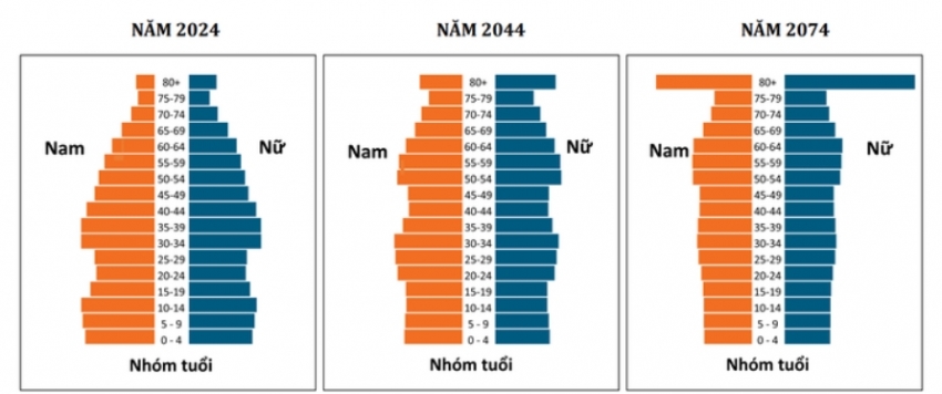 Nguồn: Cục Thống kê (2025)