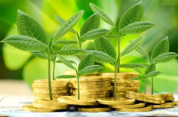 Thu hút FDI bền vững qua mô hình ngân hàng xanh: Kinh nghiệm từ Trung Quốc và hàm ý chính sách cho Việt Nam