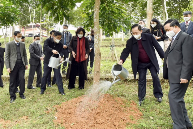 C:Usersanh.nguyenmai2Desktoptuoi cay cb.jpg