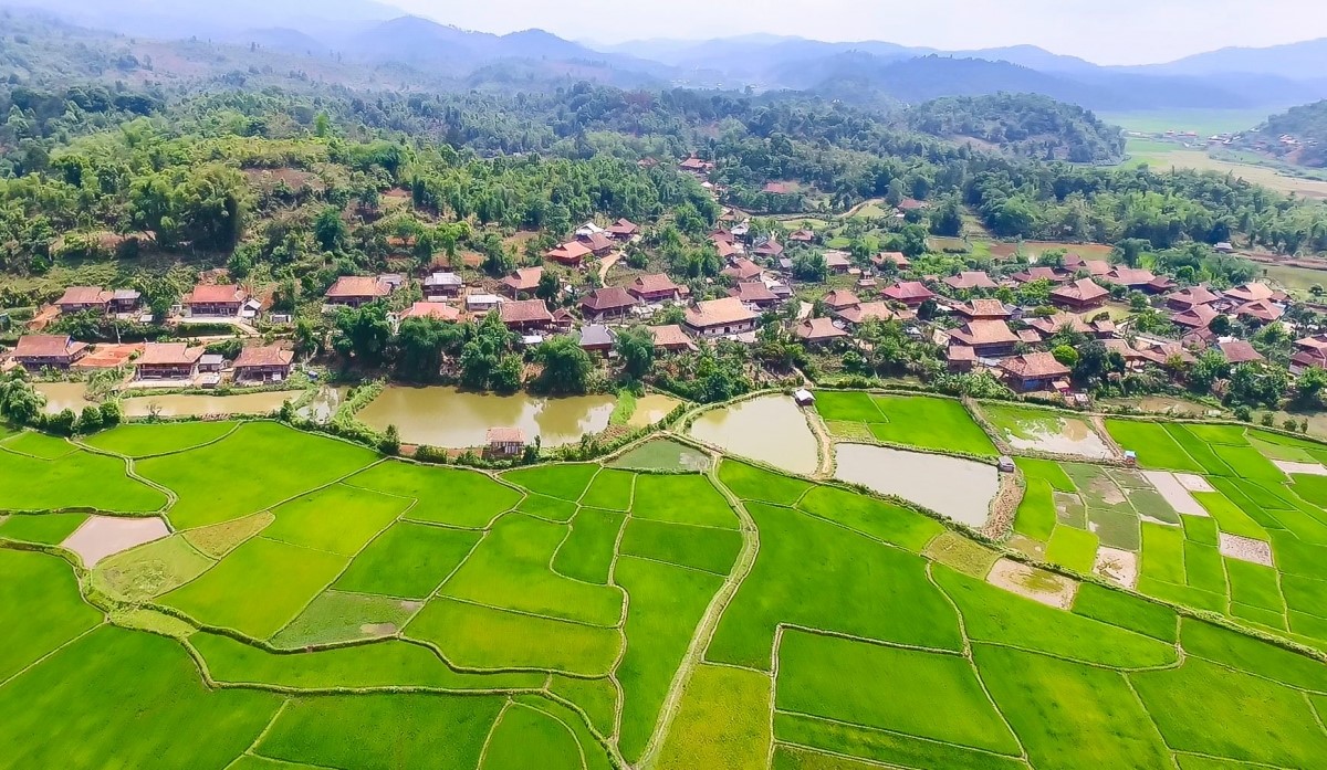 M ng Ph ng V ng t C ch M ng Ng y y V B y Gi M ng Ph ng V ng t C ch M ng Ng y y V B y Gi