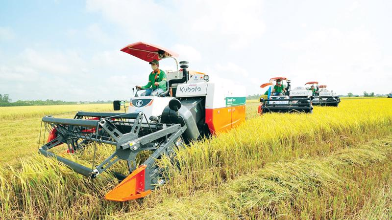 Bảo lãnh tín dụng cho doanh nghiệp nhỏ và vừa - công cụ hỗ trợ phát triển “tam nông”: Kinh nghiệm từ Nhật Bản và bài học cho Việt Nam