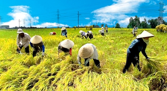 Nâng cao hiệu quả chính sách tín dụng trong việc phát triển “Tam nông” - Thực trạng và giải pháp