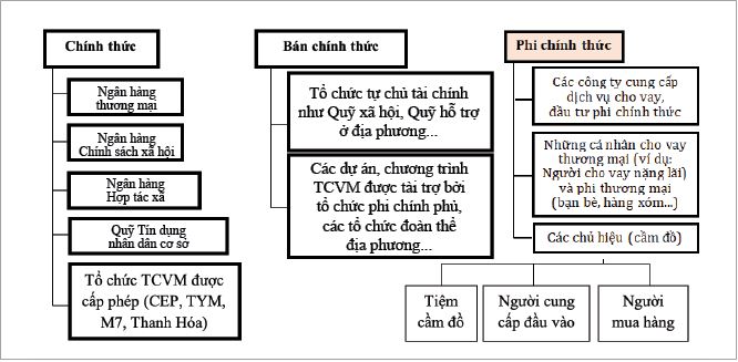 cac-to-chuc-tai-chinh-vi-mo-qua-trinh-chuyen-doi-tai-viet-nam-23-.4082.JPG